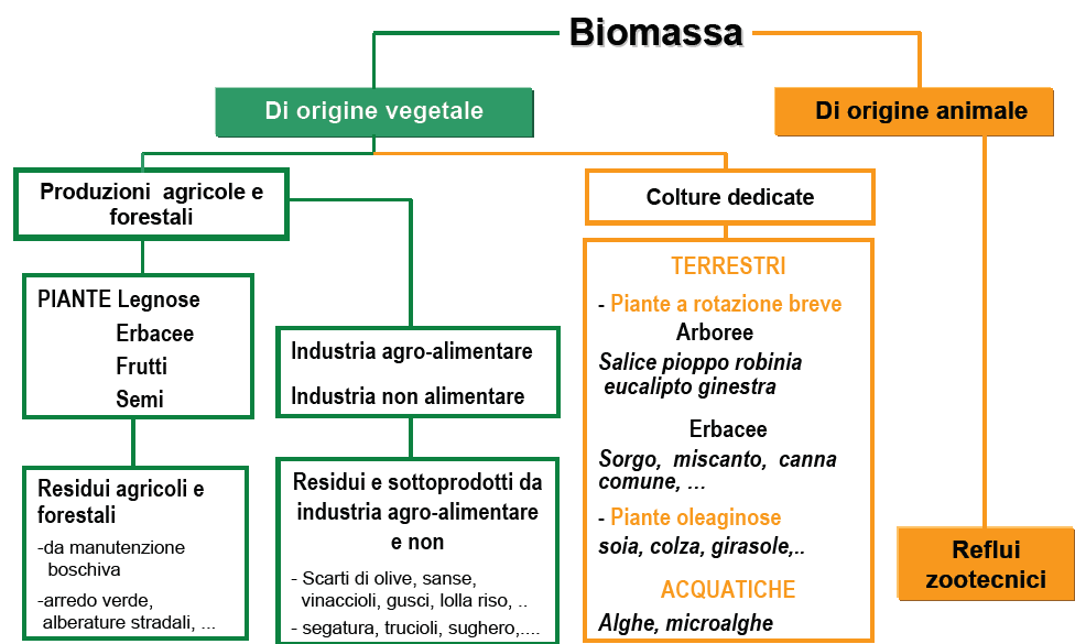 Tipi di biomassa