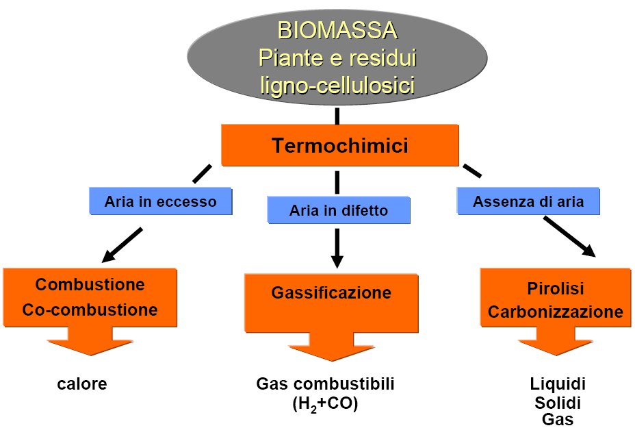 Processi