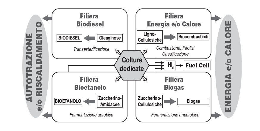 Biopower