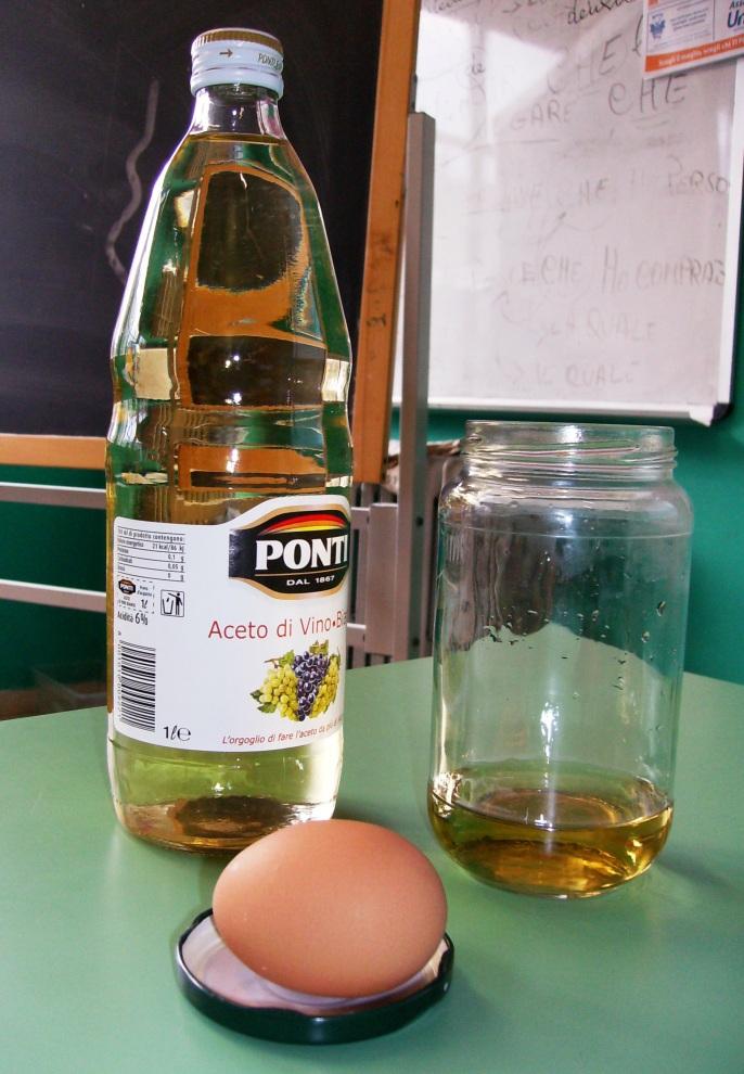 Esperimento n 5 - Un uovo - Aceto