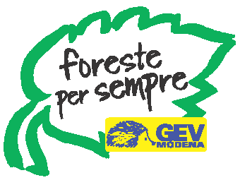 Foreste per Sempre (FpS) - Art.