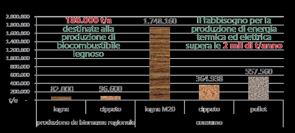 VENETO: Il patrimonio forestale regionale è in costante crescita e, potenzialmente, rende disponibili 850.