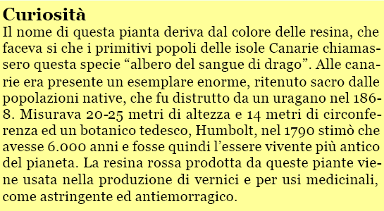 Il cambio delle monocotiledoni è il solo che produca la maggior parte delle cellule parenchimatiche con i fasci conduttori immersi in questo tessuto