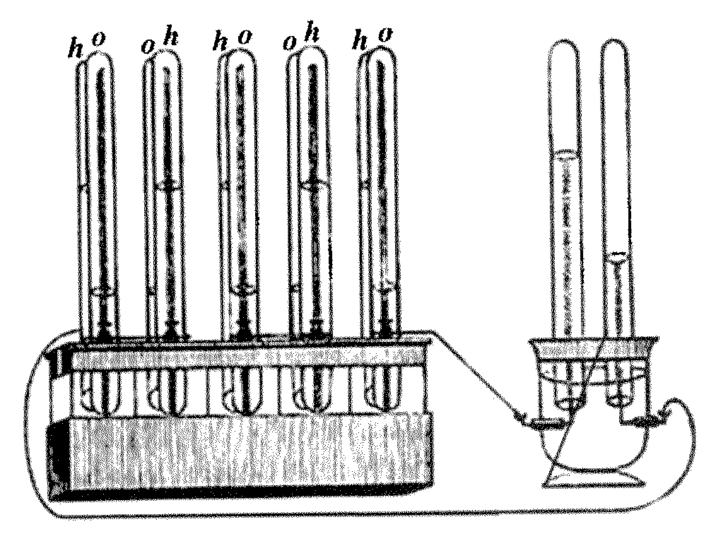 CAPITOLO 1 