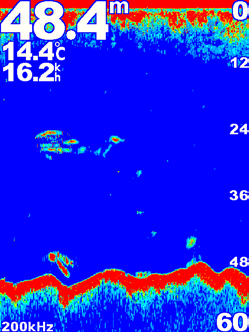 Utilizzo del sonar Utilizzo del sonar Quando i seguenti chartplotter sono collegati a un trasduttore, è possibile utilizzarli come Fishfinder: GPSMAP 421s GPSMAP 451s GPSMAP 521s GPSMAP 526s GPSMAP