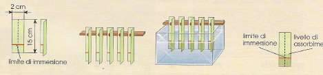 Esperimento: verifica capillarità MATERIALI ed ESPERIMENTO Campioni di diversi tipi di carta/cartone 15 x 2 cm 1 vaschetta 1 asta o sbarretta dove agganciare le strisce di carta 1