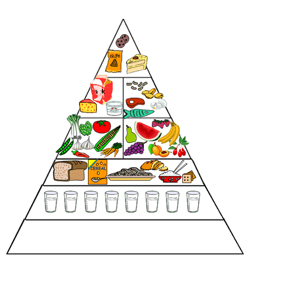 La Piramide alimentare Dolci, olio, burro e grassi pesce, carne, pollo, uova latte, yogurt e formaggio Frutta e verdura Pane, cereali, riso, pasta