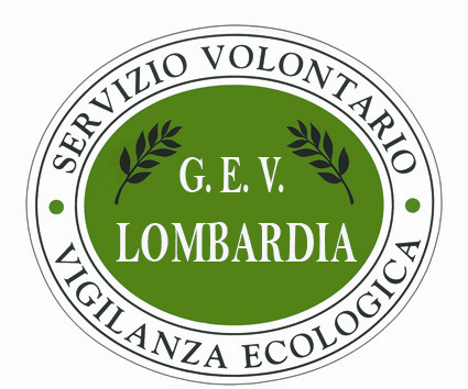 promuovere l'informazione sulla legislazione vigente in materia di tutela ambientale; 2. sanzionare i comportamenti di coloro che violano le leggi sulla tutela dell' ambiente; 3.