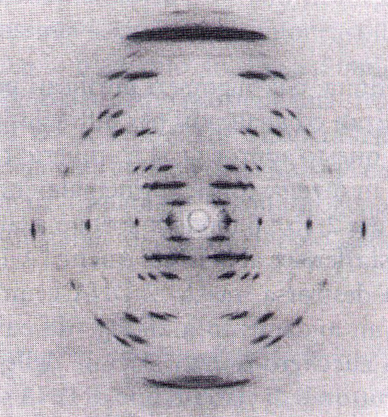 Rosalind Franklin Maurice Wilkins (ricevette nel 62 il premio Nobel con Watson e Crick) Lastra fotografica Sorgente di raggi X Campione di DNA Schema di diffrazione dei raggi X Analisi del DNA