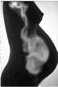 AMBIENTE LAVORATIVO La legislazione italiana tutela ampiamente la maternità (legge n.
