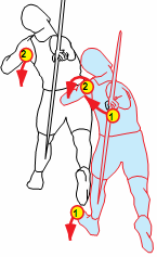 Modello Tecnico: Appoggio Sinistro Il braccio sinistro si apre qualche istante prima (circa 6/100 sec) dell appoggio del sinistro. 1. Appoggio piede sinistro 2.