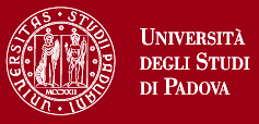 it Dipartimento di Fisica e Scienze della Terra Università di Ferrara Contributo per la pianura isontina: marco.borga@unipd.