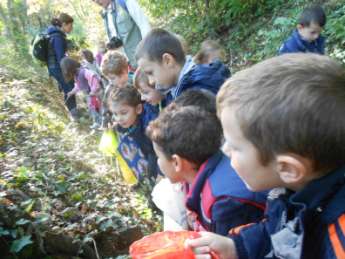 FORMAT EDUCATIVO DIDATTICO PER LA SCUOLA DELL INFANZIA NATURA E FANTASIA Una prpsta per prdurre cnscenza scientifica cn bambini dai 3-5 anni IDEA DI FONDO L intent è quell di prprre un esperienza