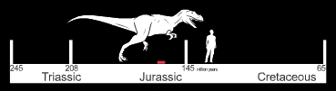 essere una nuova sottospecie del primo dinosauro scoperto nel 1824, il famoso Megalosaurus. I reperti di questa nuova specie erano stati ritrovati in una cava di argilla sita a nord di Oxford.