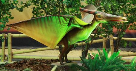 USA e INGHILTERRA. Da 89 a 70 MA circa. Dimensioni: circa 9 meetri di apertura alare. Peso: 25 kg Gli esemplari del genere Pteranodon sono tra i più grandi del gruppo degli Pterodattili.