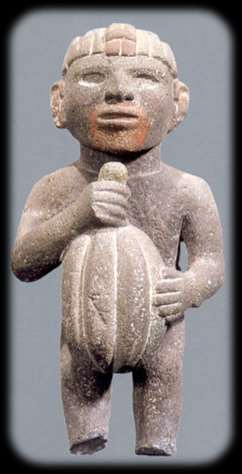 Nella civiltà azteca erano considerati un bene di lusso e venivano importati perché la pianta non