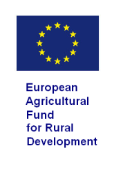 ALTRI PROGRAMMI CHE POSSONO ESSERE PIÙ APPROPRIATI(1) Fondo Europeo per l