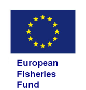 europa.eu/echo/civil_protection/civil/ prote/finance.htm Fondo di coesione http://ec.europa.eu/regional_policy/funds/procf /cf_en.