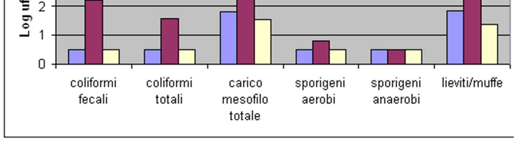 plastica Cartone