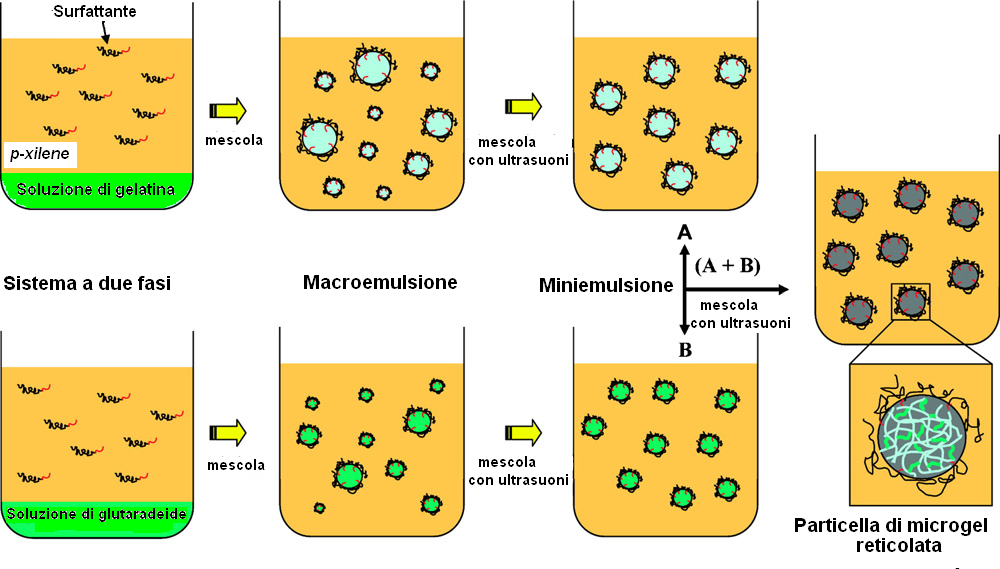 MICRO- E NANOGEL PER SOMMINISTRAZIONE MEDICINALI Il sonotrodo (elettrodo acustico di un sistema di mescolamento con ultrasuoni) viene anche utilizzato per velocizzare la