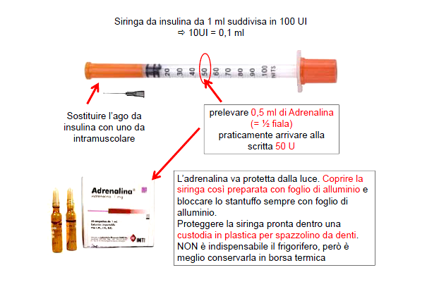 Somministrazione dell adrenalina con siringhe da insulina 2 (da stampare) L adrenalina può essere somministrata con siringhe da insulina, cui sia stato sostituito l ago con uno da siringa