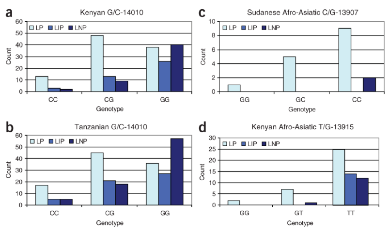 Allele LP in Africa (Tishkoff et al.