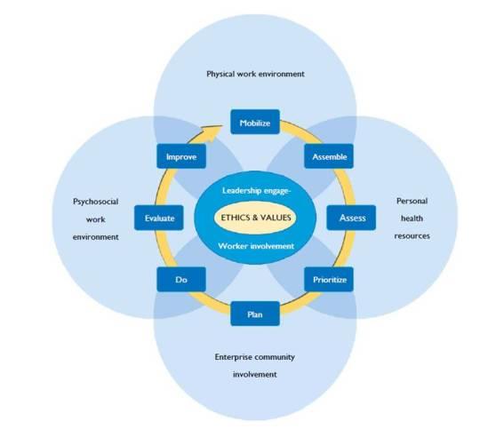 Healthy workplace model (OMS, 2010) Processo sistematico e globale Migliorare Fattori di rischio fisico dell ambiente di lavoro Mobilitare Costituire gruppo di lavoro Fattori di rischio psicosociale