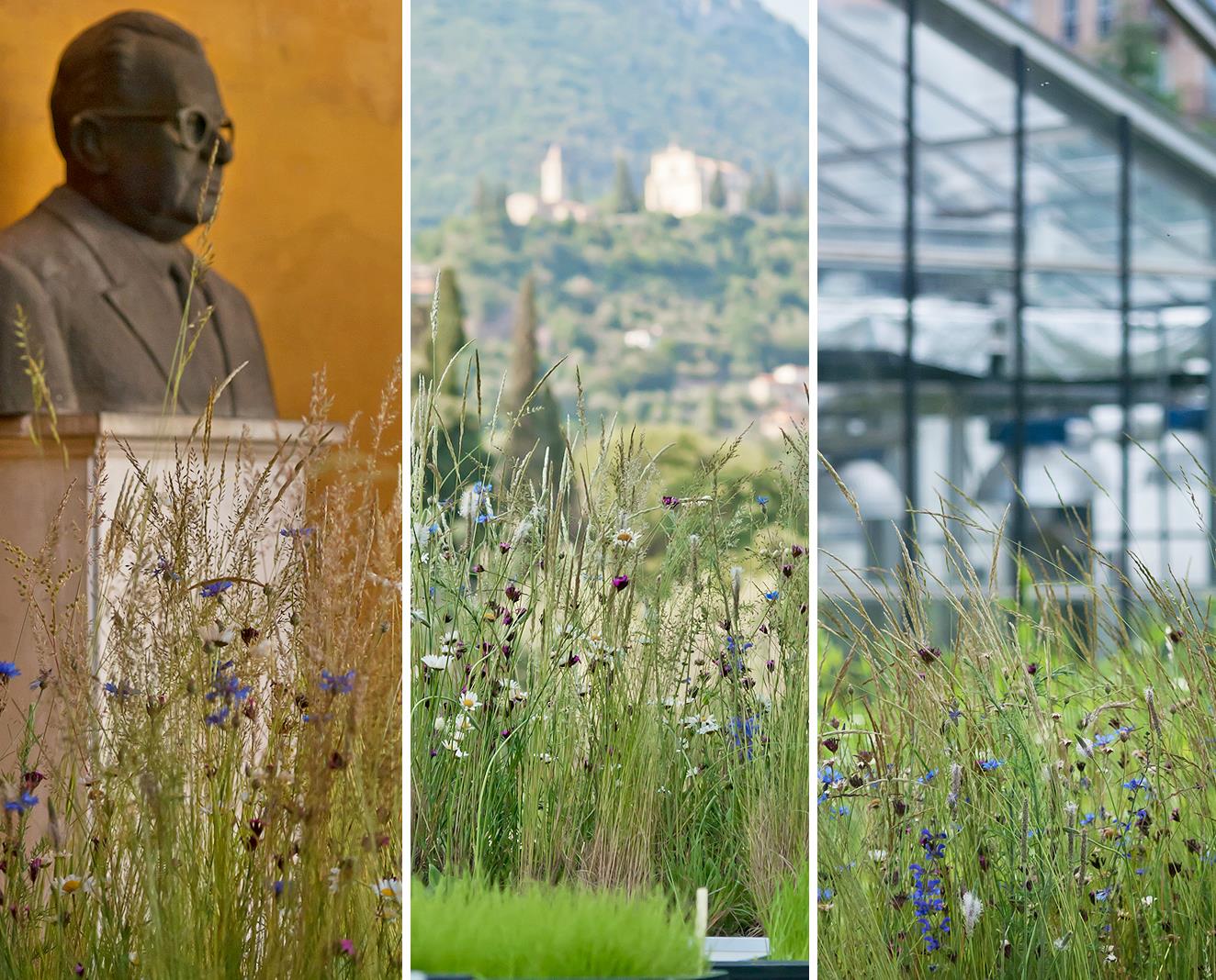 3 scatti da sinistra a destra dell'istallazione ospitata negli orti botanici di Pavia, Toscolano Maderno e Milano.