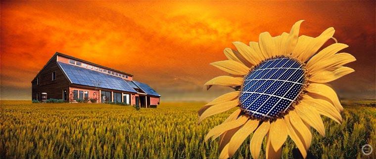 Vantaggi dei sistemi fotovoltaici Per l AMBIENTE nessun carburante nessuna emissione utilizzo di fonte