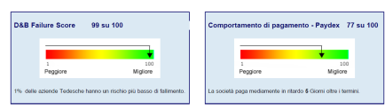 Utilizzo dei Business Report CRIBIS D&B 1.