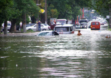 Quando arriva in pianura il fiume scorre sempre più lento in un grande letto, può formare ampie curve, le anse, fino ad incontrare il mare in un punto chiamato foce.