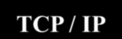 Introduzione al TCP/IP TCP/IP Trasmission Control Protocol / Internet Protocol E un protocollo