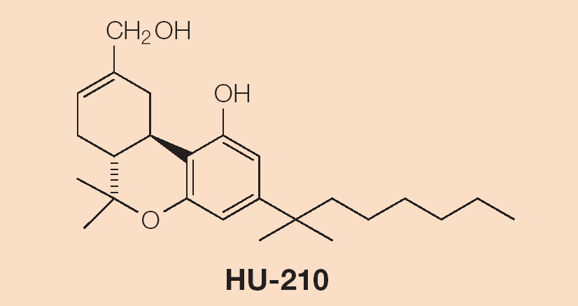 Cannabinoidi sintetici 100-1000 x più potente che THC Strumento per gli studi del sistema cannabinoidico Probabilmente mediante recettori CB1, proteina Gi, ERK Promozione della