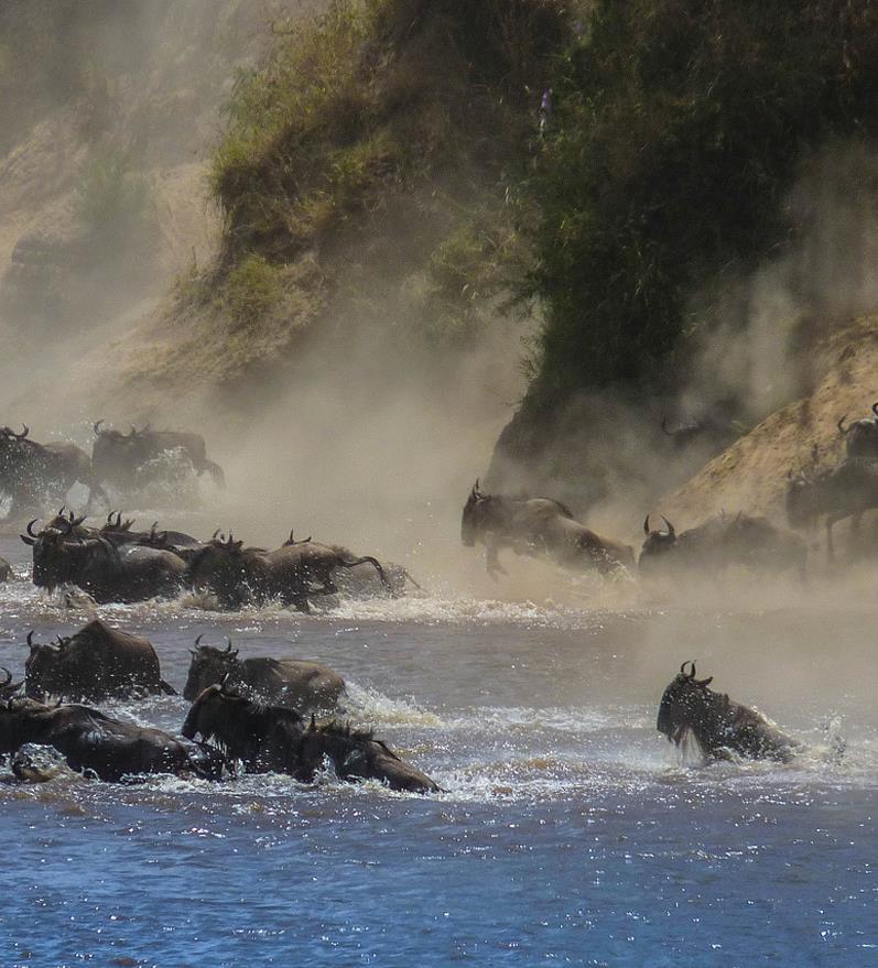 12 giorni/ 9 notti Il Burundi e il suo verde paesaggio Serengeti la savana sconfinata Ngorongoro il parco nel vulcano Questo è un vero viaggio nello spirito dell Africa centrale.