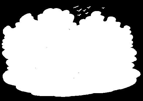 Regolamento (CE) n. 178/2002 Il Regolamento disciplina tutte le fasi della produzione, della trasformazione e della distribuzione degli alimenti e dei mangimi.