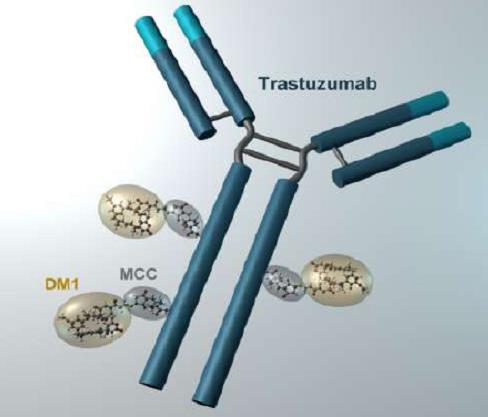 trastuzumab Chemioterapico: DM1 DM1 (maytansine),