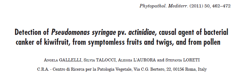 Attività pregressa 2. Sviluppo di procedure per il rilevamento di Psa da polline, frutti, piante asintomatiche FRUTTI: BASSA CARICA DI INOCULO DEL BATTERIO NEI SINGOLI FRUTTI.