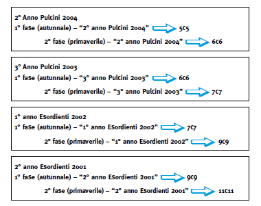 p) Attività non autorizzate (Piccoli Amici - Pulcini - Esordienti) Alla luce del carattere eminentemente promozionale e didattico di questa attività, è vietata l organizzazione di provini (o raduni