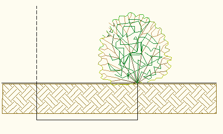 distanze dai confini di proprietà o confini stradali per le piante in centro urbano CODICE CIVILE (art.892) 3 metri per gli alberi ad alto fusto (es.