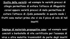 alle derrate alimentari e umido per risanare semi o bulbi - effettuare la SOLARIZZAZIONE: riscaldamento del terreno sotto pellicola plastica (40-50 C) E una pratica diffusa in terreni che ospiteranno