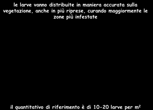 di polline, nettare ed altre sostanze zuccherine le larve sono immediatamente in grado di nutrirsi di prede quali afidi, acari, uova di lepidotteri, tripidi, cocciniglie le