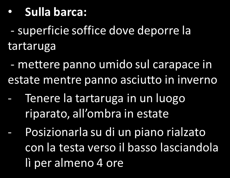 esemplari pescati Se rimane