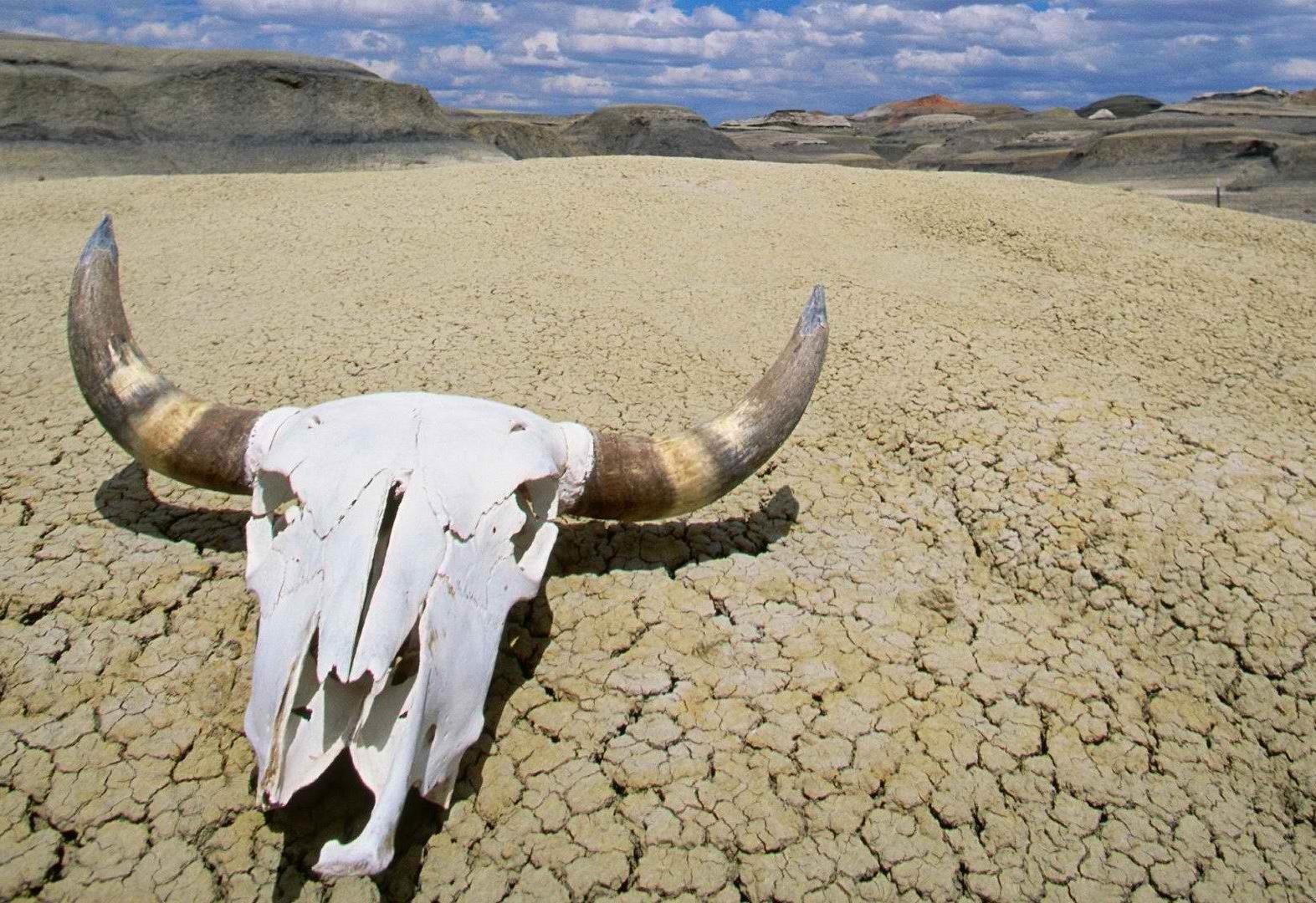 30-31/7/2016: Death Valley La Death Valley è un Parco nazionale nello stato della California ed in piccola parte nel Nevada.