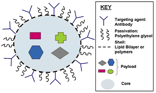 Nanoparticelle: possono contenere farmaci, mezzi di contrasto per imaging, agenti permeabilizzanti, vettori etc.