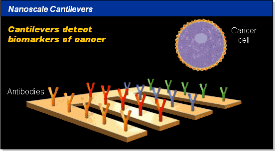 (per sviluppo nanoarray); ad esempio un anticorpo che riconosce il marker di una malattia viene depositata