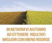 Vendemmia: gli agronomi confermano una qualità ottima in tutta Italia http://www.teatronaturale.