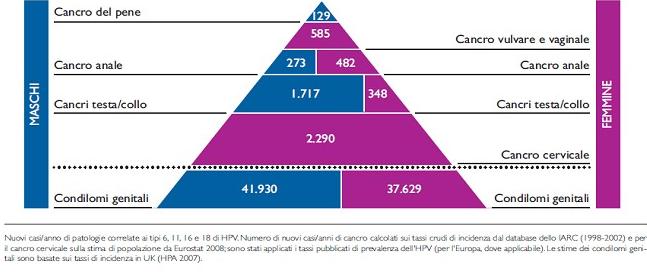 HPV: profondo impatto su entrambi i sessi in Italia