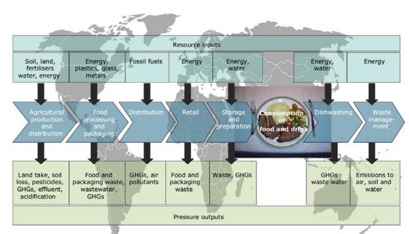 Insostenibilità della catena del cibo della dieta occidentale I sistemi