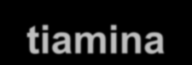 Vitamina B1 (tiamina) La tiamina è una vitamina la cui carenza porta allo sviluppo di una patologia chiamata beriberi (polinevrite che si manifesta con stanchezza, paralisi, cardiopalmo, atrofie