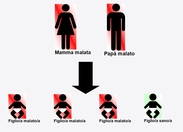 Entrambi i genitori presentano una copia mutata del gene A a A AA Aa a aa aa 25%